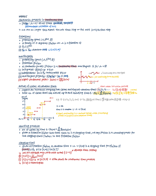 LSE ST302 Pg 1